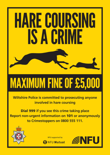 Hare Coursing poster